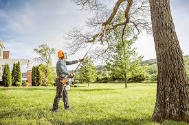 Best Lawn Disease Treatment  in Round Lake Beach, IL