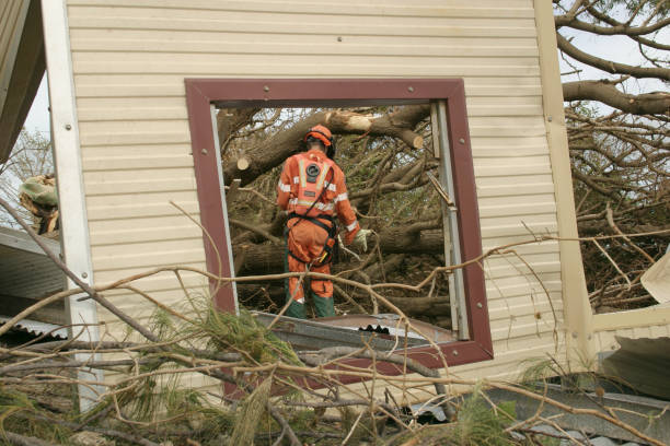 Best Tree and Shrub Care  in Round Lake Beach, IL